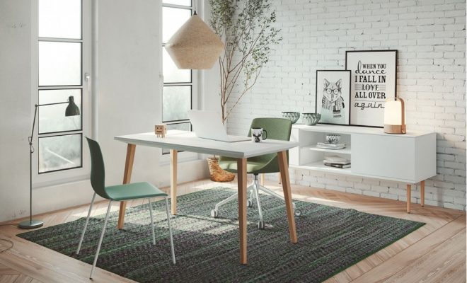 Keys to ensure efficiency and wellness in a home office 1 Picture 1
