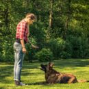 A person petting a deer Description automatically generated with medium confidence