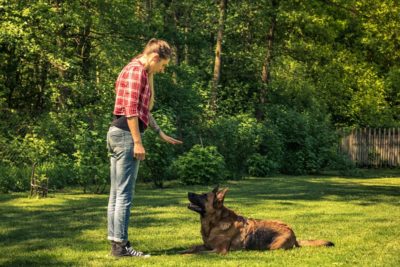 A person petting a deer Description automatically generated with medium confidence