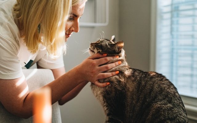 How to Support Your Kids During the Transition of Divorce 1 parker coffman pr6Blqs0yWA unsplash